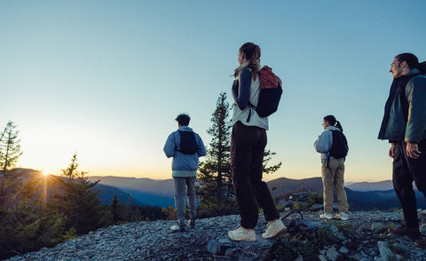 Women's Zionic NXT Waterproof Hiking Boot  |  Safari/Cork
